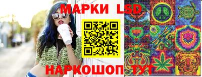 гидропоника Дубна