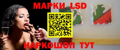 гидропоника Дубна