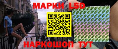 гидропоника Дубна