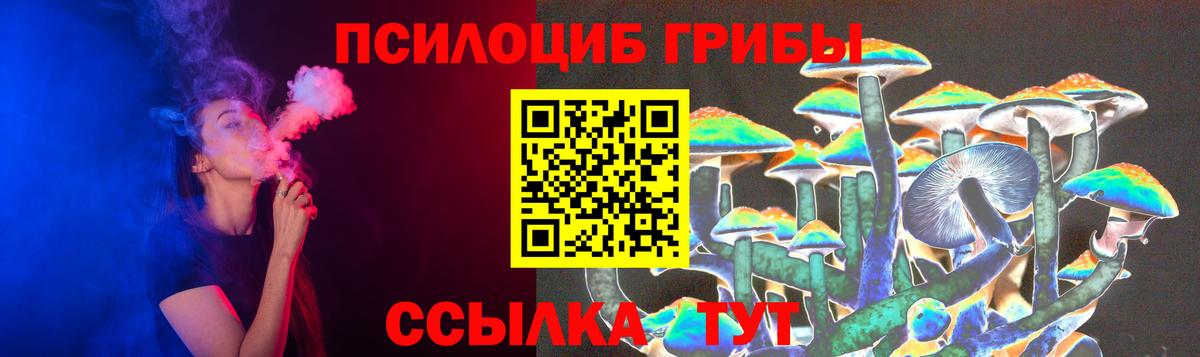 Майский  Галлюциногенные грибы прущие грибы  Вход с VPN 